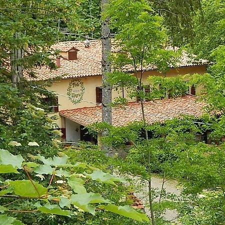 Agriturismo Fonte Magria Аббадія-Сан-Сальваторе Екстер'єр фото