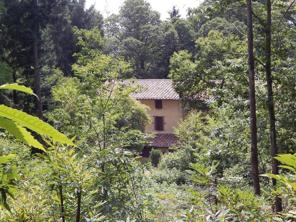Agriturismo Fonte Magria Аббадія-Сан-Сальваторе Екстер'єр фото